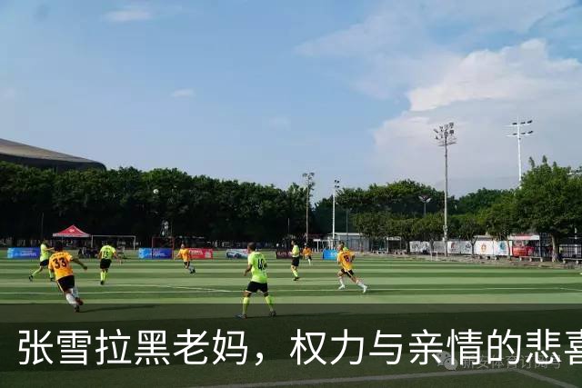 张雪拉黑老妈，权力与亲情的悲喜剧